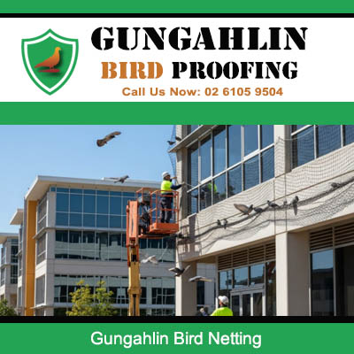 Professional bird netting installation on commercial building using elevated work platform in Gungahlin