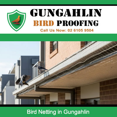 Bird netting secured under balcony edge keeping pigeons away in Gungahlin area