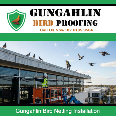 Bird control expert setting up protective netting on multi level building in Gungahlin area