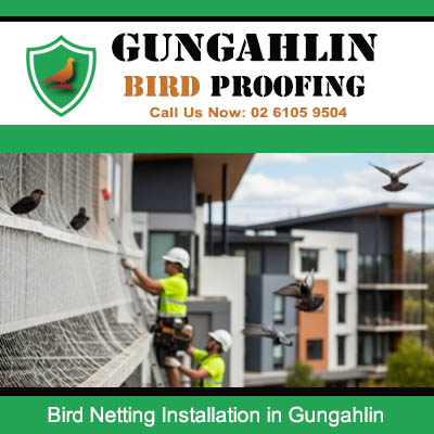 Technician installing bird netting on apartment building balcony with birds flying nearby in Gungahlin