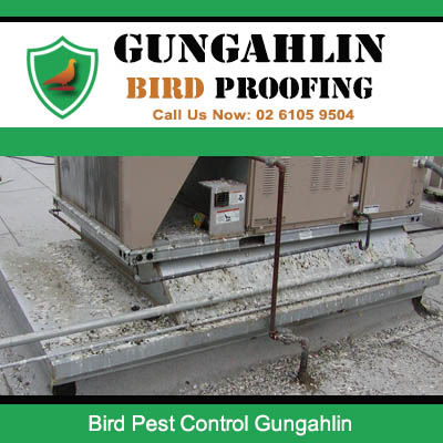Bird pest control spikes fitted on commercial roof edge and AC units for pest control in Gungahlin area