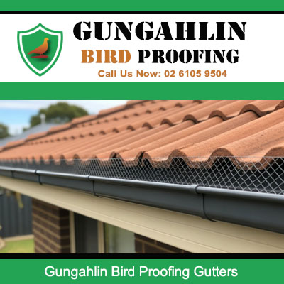 Bird proofing mesh installed in residential gutters preventing pigeons from nesting in Gungahlin