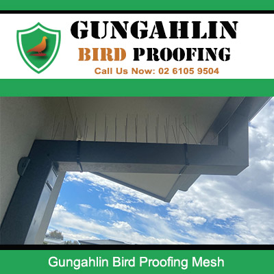 Bird proofing mesh installed on building eaves preventing pigeons from nesting in Gungahlin