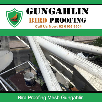 Bird proofing mesh installed around industrial pipes and ductwork preventing pigeon nesting in Gungahlin