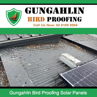 Bird proofing mesh installed under solar panels preventing pigeons from nesting in Gungahlin