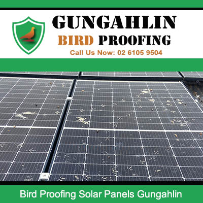 Gungahlin rooftop solar panels with bird proofing clips fitted to prevent nesting underneath