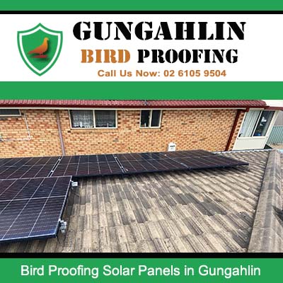 Residential rooftop with solar panels and bird proofing protection installed in Gungahlin