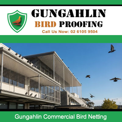 Commercial bird netting system installed on multi level commercial building in Gungahlin area
