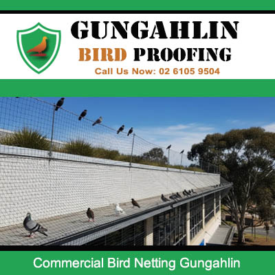 Commercial building rooftop with bird netting installed keeping pigeons away in Gungahlin