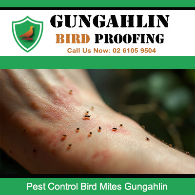 Bird mites crawling on human skin requiring urgent pest control treatment in Gungahlin